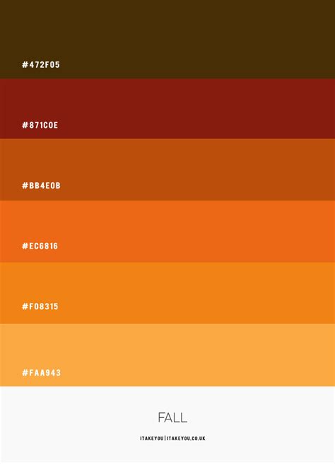 warm colors hex code