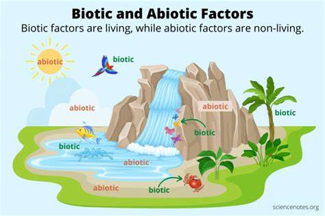 water abiotic factor