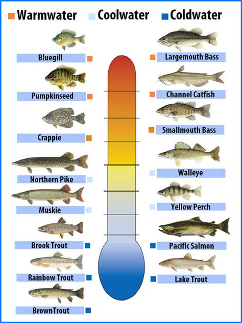 Water conditions for fishing