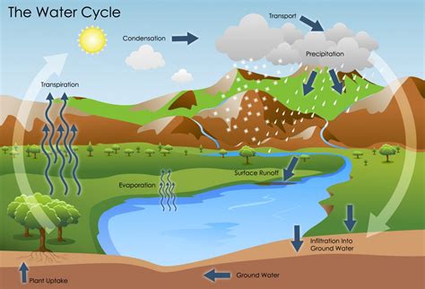 water cycle