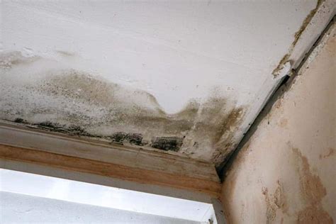 water damage with mold on ceiling