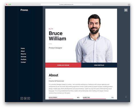 web cv examples