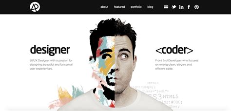 web developer portfolio description