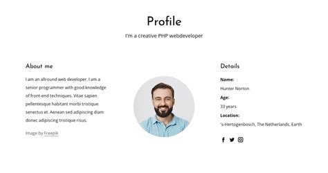 web developer profile example