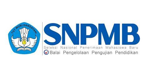 Website SNPMB