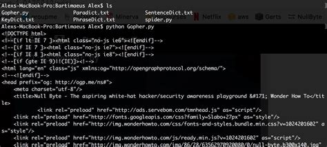 website to run python program