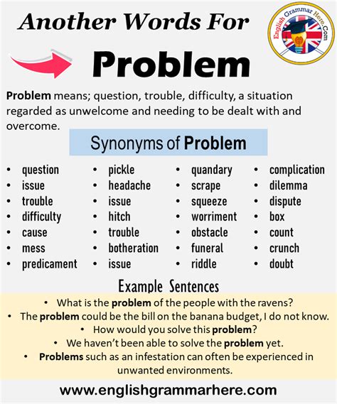 what's a another word for issues