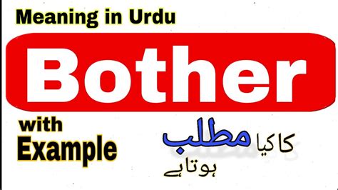 what a bother meaning in urdu with example