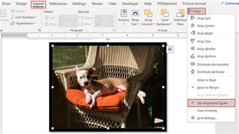 what are alignment guides in word