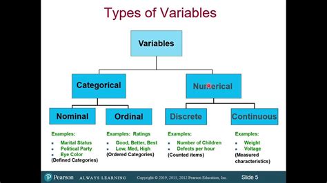 what are different variable types