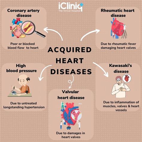 what are examples of cardiovascular problems
