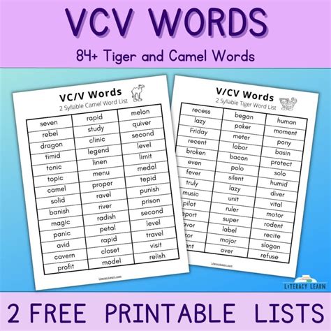 what are examples of vc words