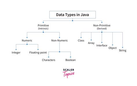 what are non primitive data type