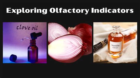 what are olfactory indicators give two examples class 10