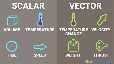 what are scalar and vector quantities in physics