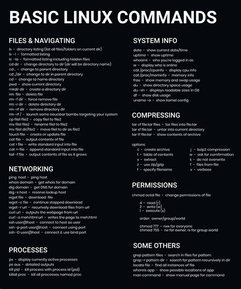 what are some basic linux commands