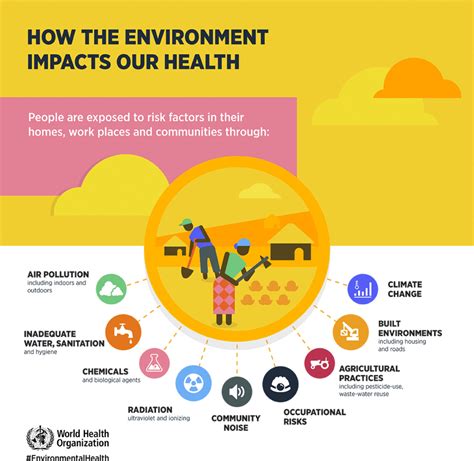 what are some examples of environmental health problems