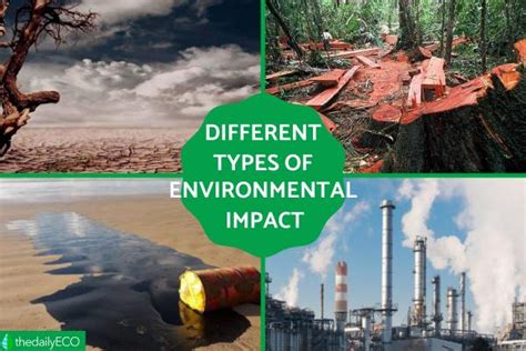 what are some examples of environmental impacts