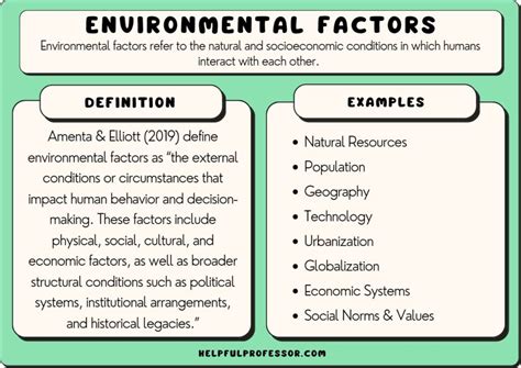 what are some examples of environmental issues studied in this field