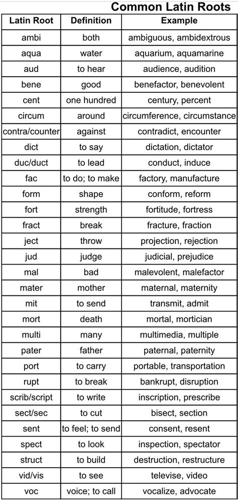 what are some examples of latin root words