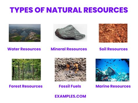 what are some examples of natural resources