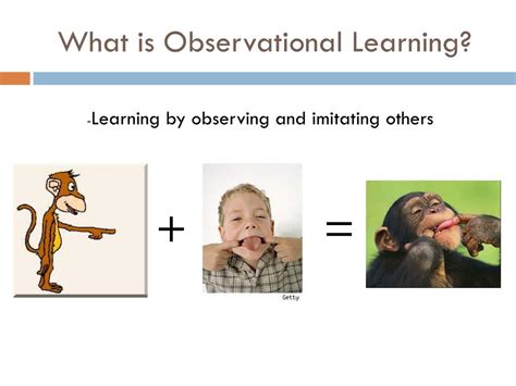 what are some examples of observational learning