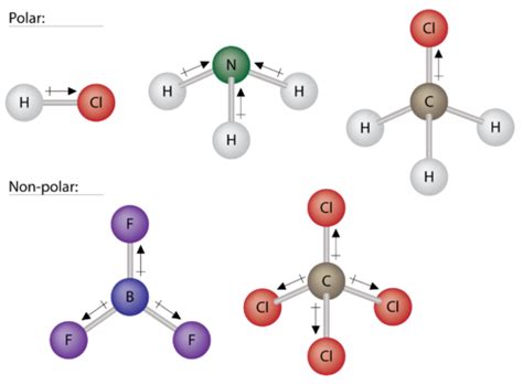 what are some examples of polar molecules
