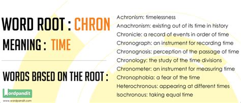 what are some examples of the root word chron