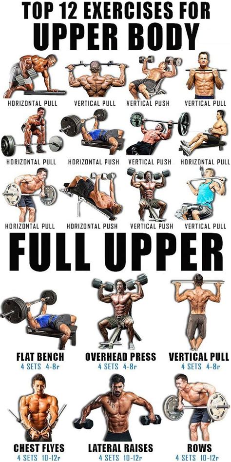 what are some exercises for the upper body