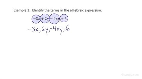 what are terms in expression