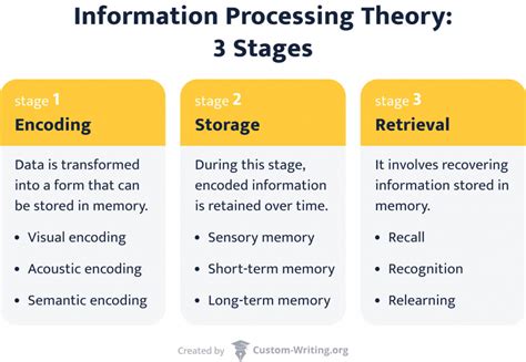 what are the 3 stages of information processing