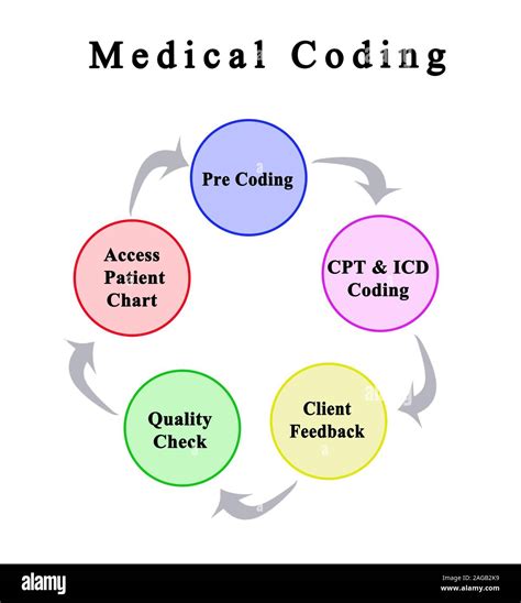 what are the 4 different types of medical coding classification systems