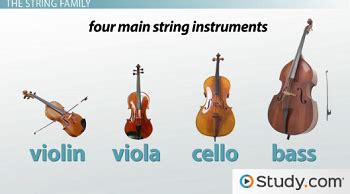 what are the 4 main string instruments in the orchestra
