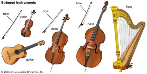what are the 4 most popular string instruments