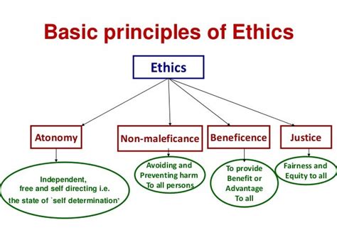 what are the 5 basic ethical principles in research