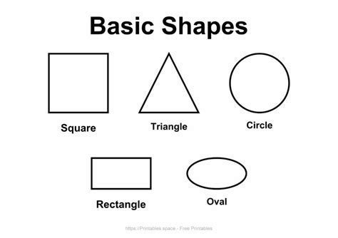 what are the 5 basic shapes in art