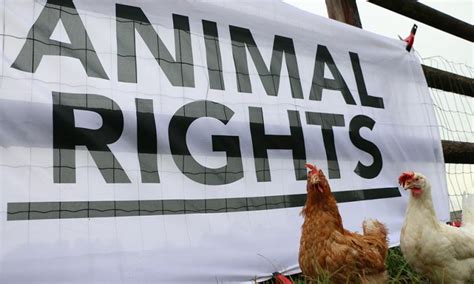 what are the basic animal rights