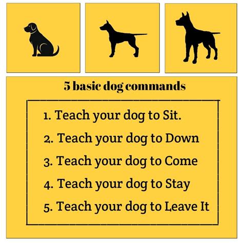 what are the basic commands for dogs