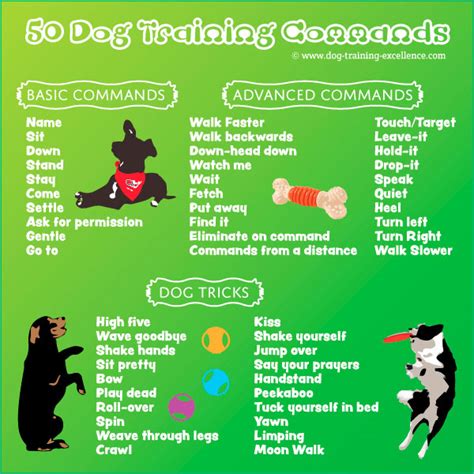 what are the basic dog commands