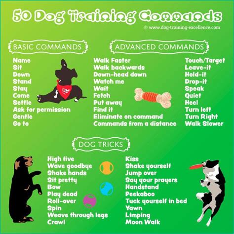 what are the basic dog training commands