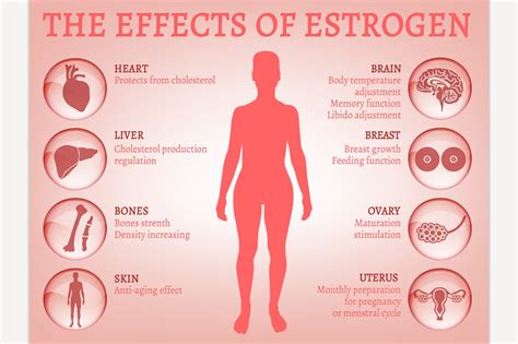 what are the benefits of low estrogen