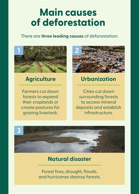 what are the causes and consequences of deforestation explain in brief