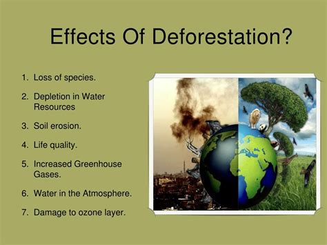 what are the causes and effects of deforestation class 9
