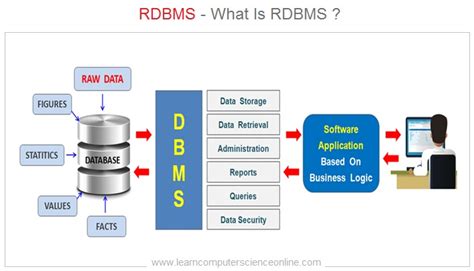 what are the data types used in dbms and rdbms