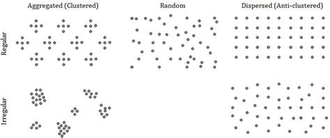 what are the different spatial patterns