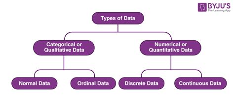 what are the different types of data class 11