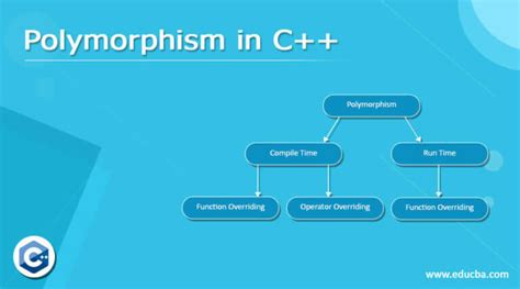 what are the different types of polymorphism in c plus plus