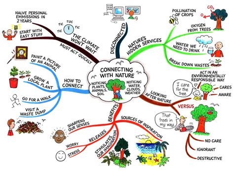 what are the example of mind map