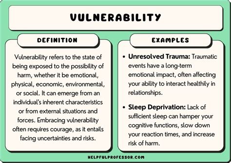 what are the example of vulnerability