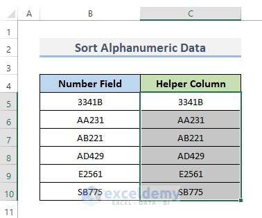 what are the examples of alphanumeric data